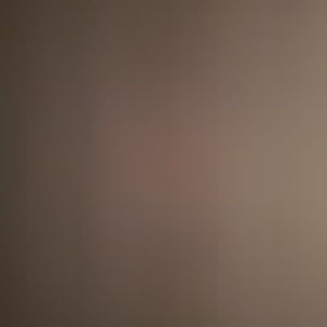 Meet your Posher, Beeniehead